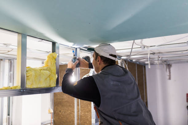 Types of Insulation We Offer in NV